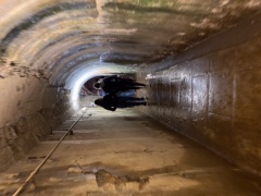 B7D197D7-02A3-4ECF-8DDE-FBA0E751E350 B7D197D7-02A3-4ECF-8DDE-FBA0E751E350