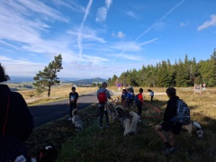 IMG-20240927-WA0017 IMG-20240927-WA0017