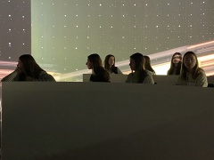 IMG_2584 IMG_2584