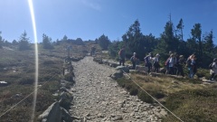 1000041017 1000041017