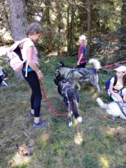 IMG_20250919_144523 IMG_20250919_144523