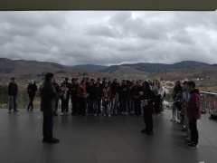 IMG_20260316_122833 IMG_20260316_122833