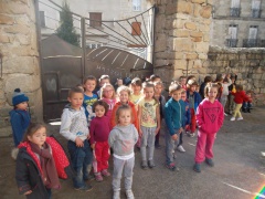SAM_2393 SAM_2393