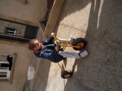 SAM_2406 SAM_2406