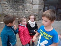 SAM_2425 SAM_2425