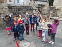 SAM_2432 SAM_2432