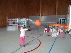 SAM_2475 SAM_2475