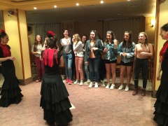 flamenco flamenco