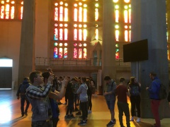 sag1 sag1