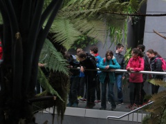 IMG_5717 IMG_5717