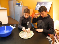IMG_5733 IMG_5733