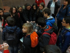 IMG_5723 IMG_5723