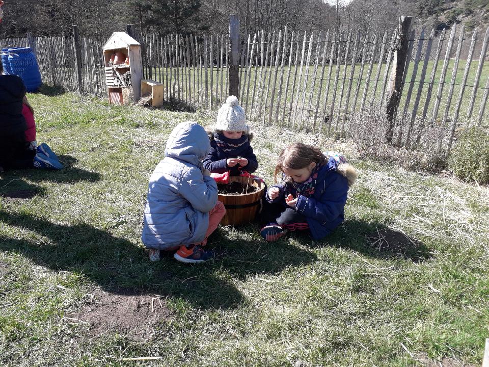 Resized_20190325_144258_8449 Resized_20190325_144258_8449