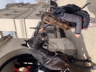 C1560B44-D4D4-4E5E-A8F9-9286CFEF33E9 C1560B44-D4D4-4E5E-A8F9-9286CFEF33E9