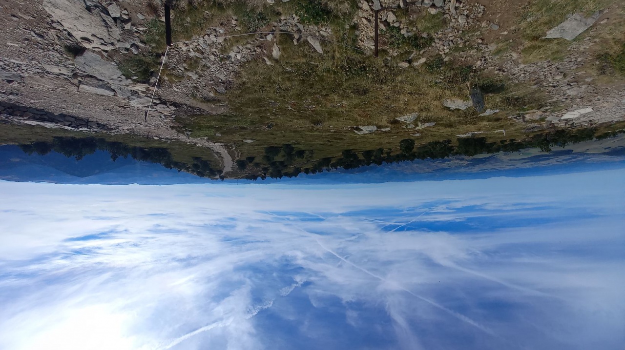 resized_20230928_115713 resized_20230928_115713