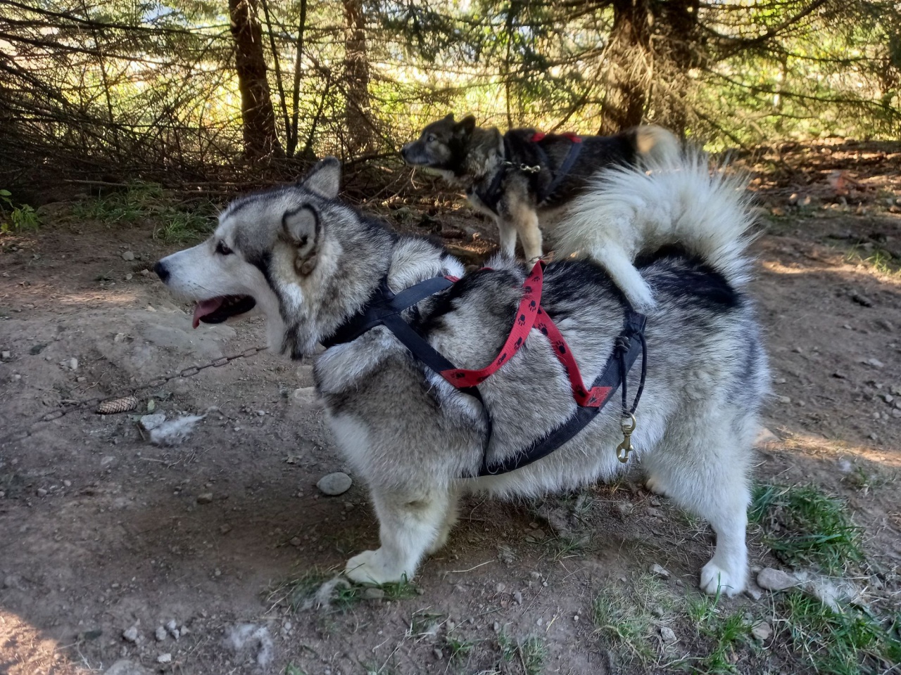 resized_20230929_093134 resized_20230929_093134