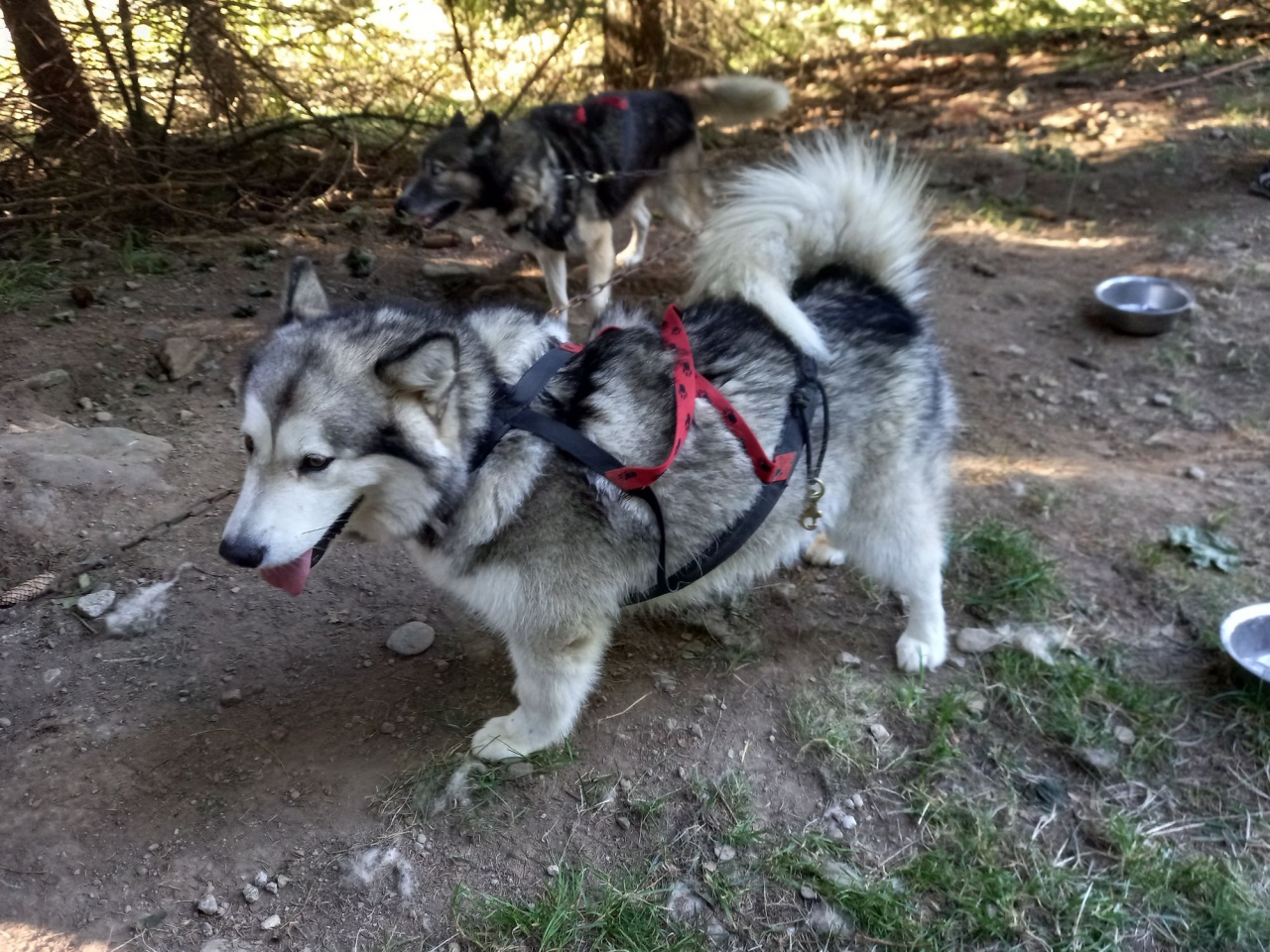 resized_20230929_093137 resized_20230929_093137