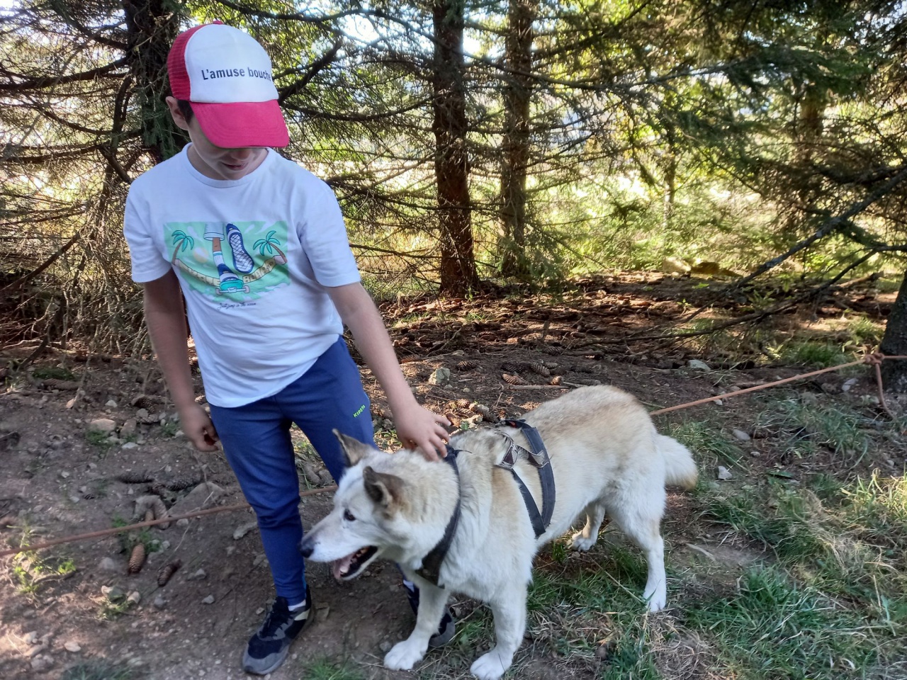 resized_20230929_093144 resized_20230929_093144