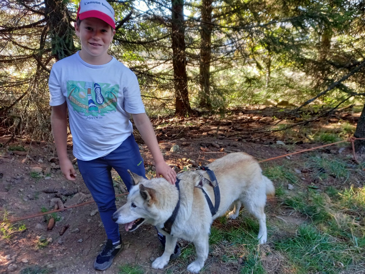 resized_20230929_093145 resized_20230929_093145