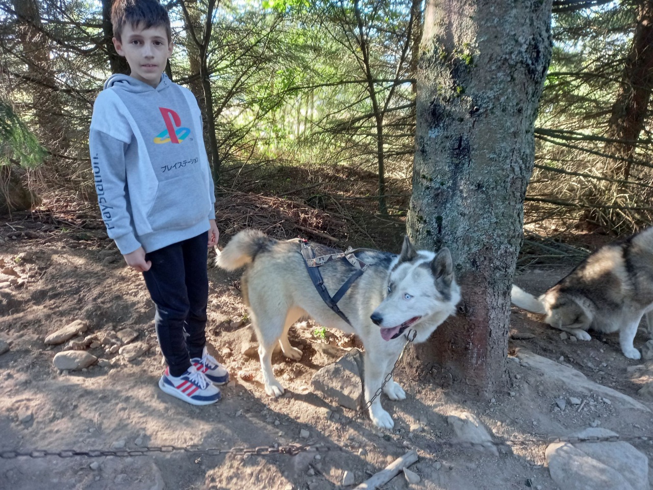 resized_20230929_093229 resized_20230929_093229