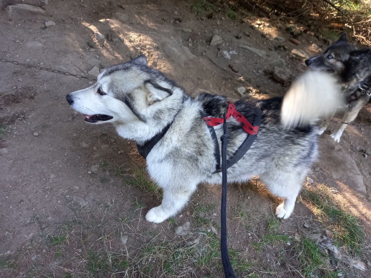 resized_20230929_094657 resized_20230929_094657