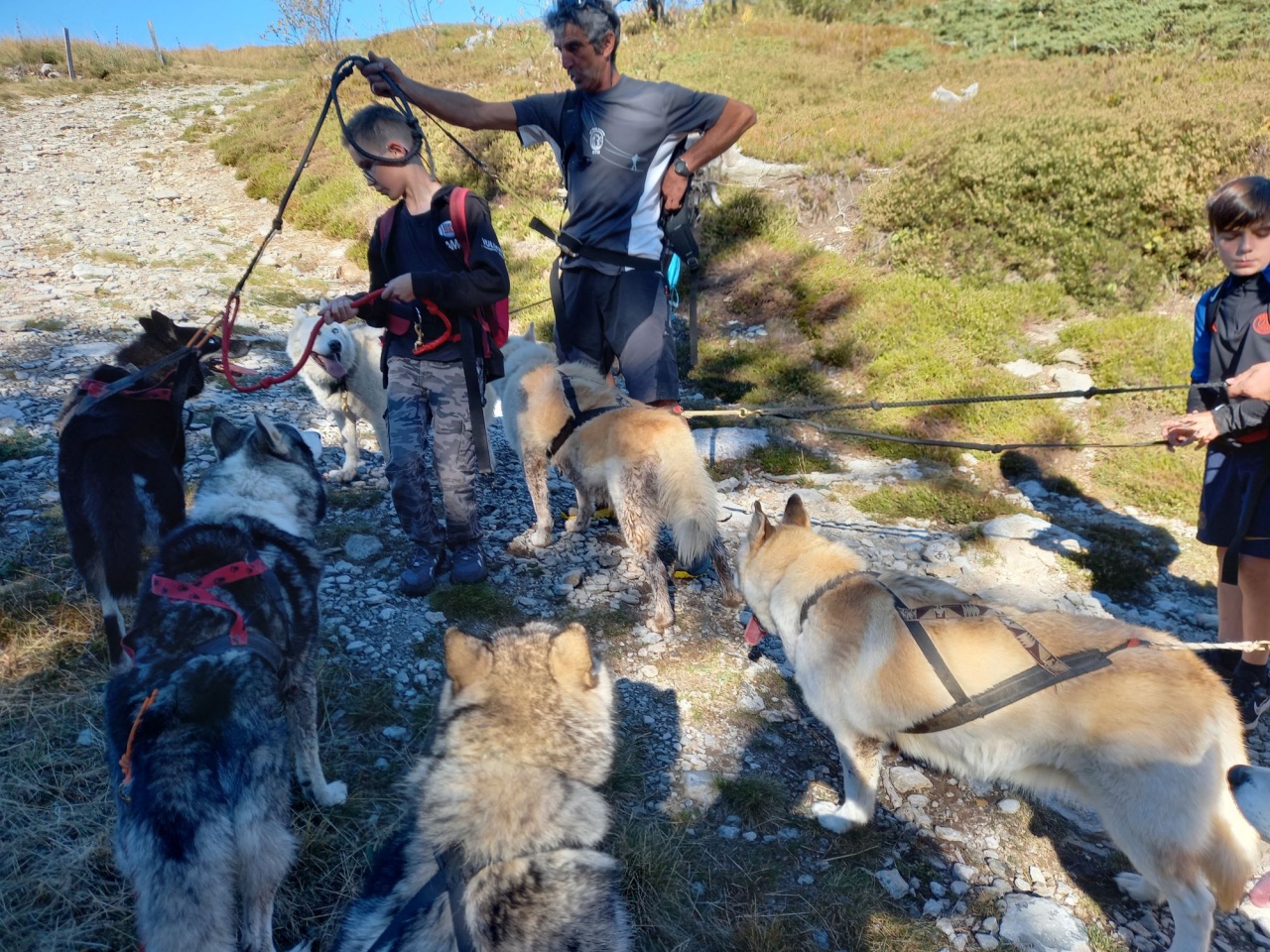 resized_20230929_104206 resized_20230929_104206