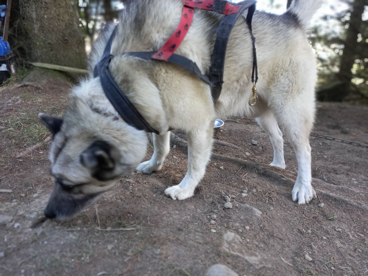 resized_20230929_140604 resized_20230929_140604