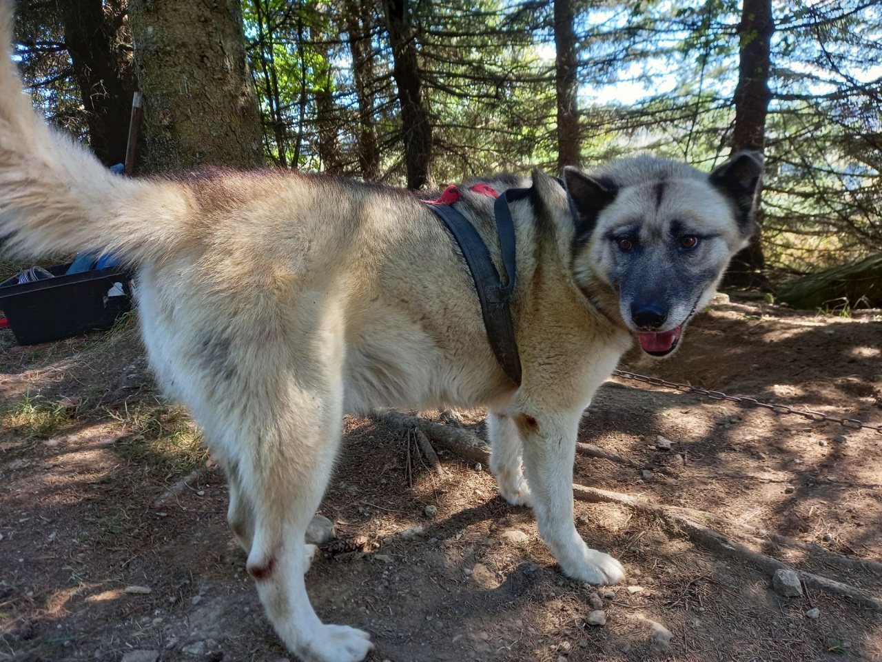 resized_20230929_140619 resized_20230929_140619