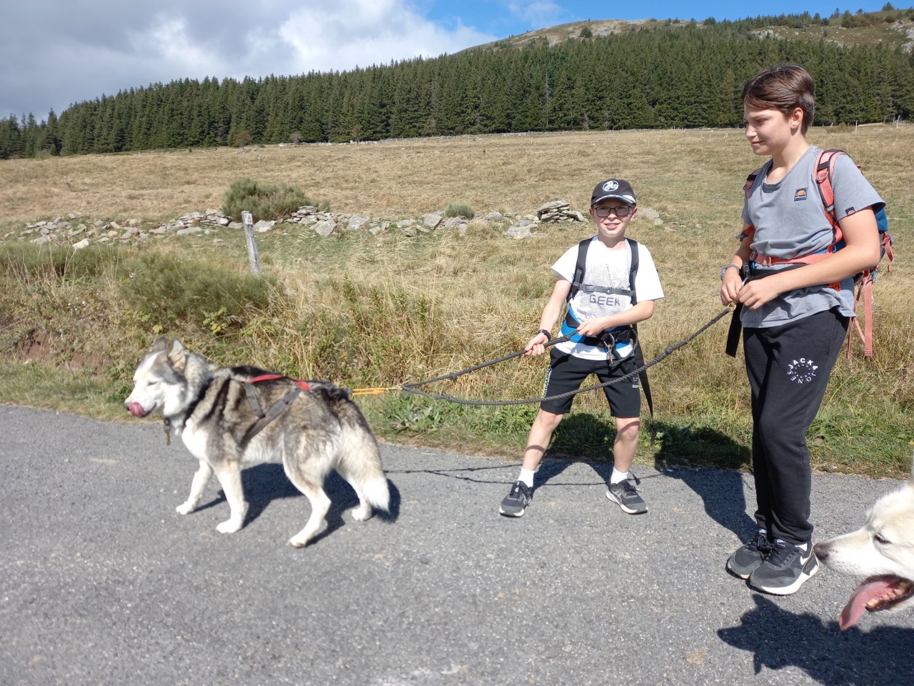 resized_20230929_142545 resized_20230929_142545