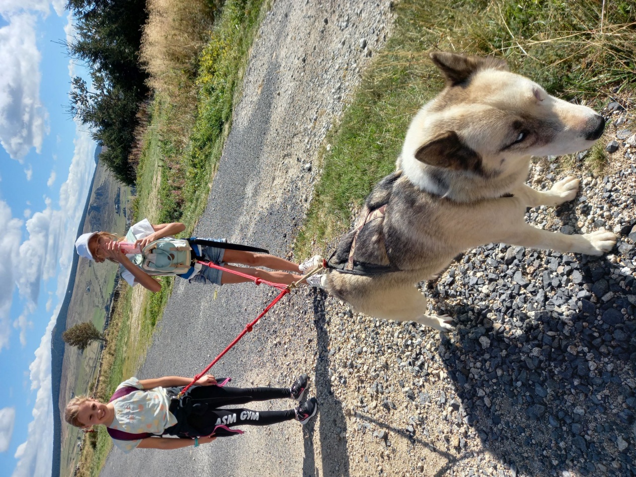 resized_20230929_142628 resized_20230929_142628