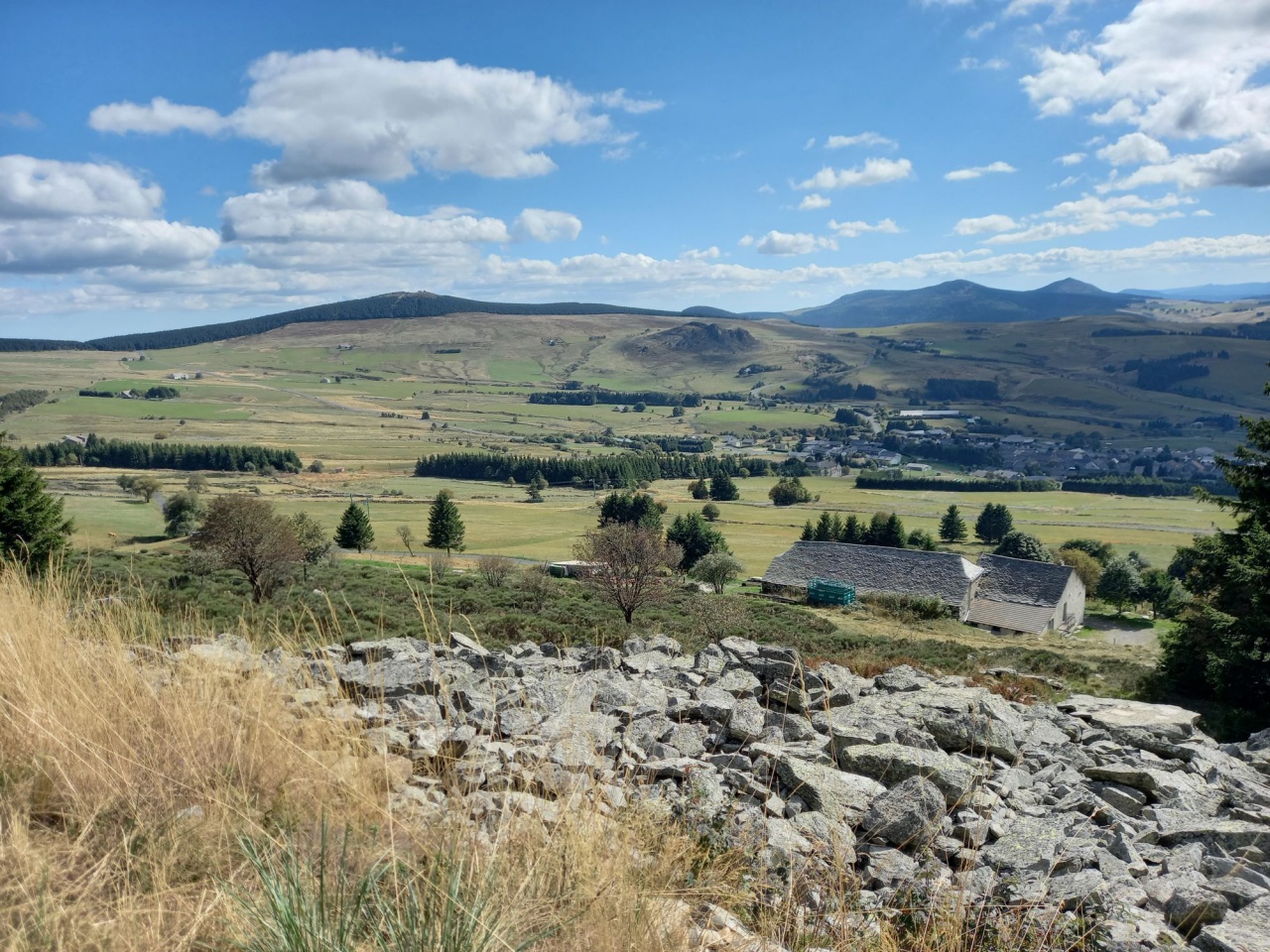 resized_20230929_145903 resized_20230929_145903