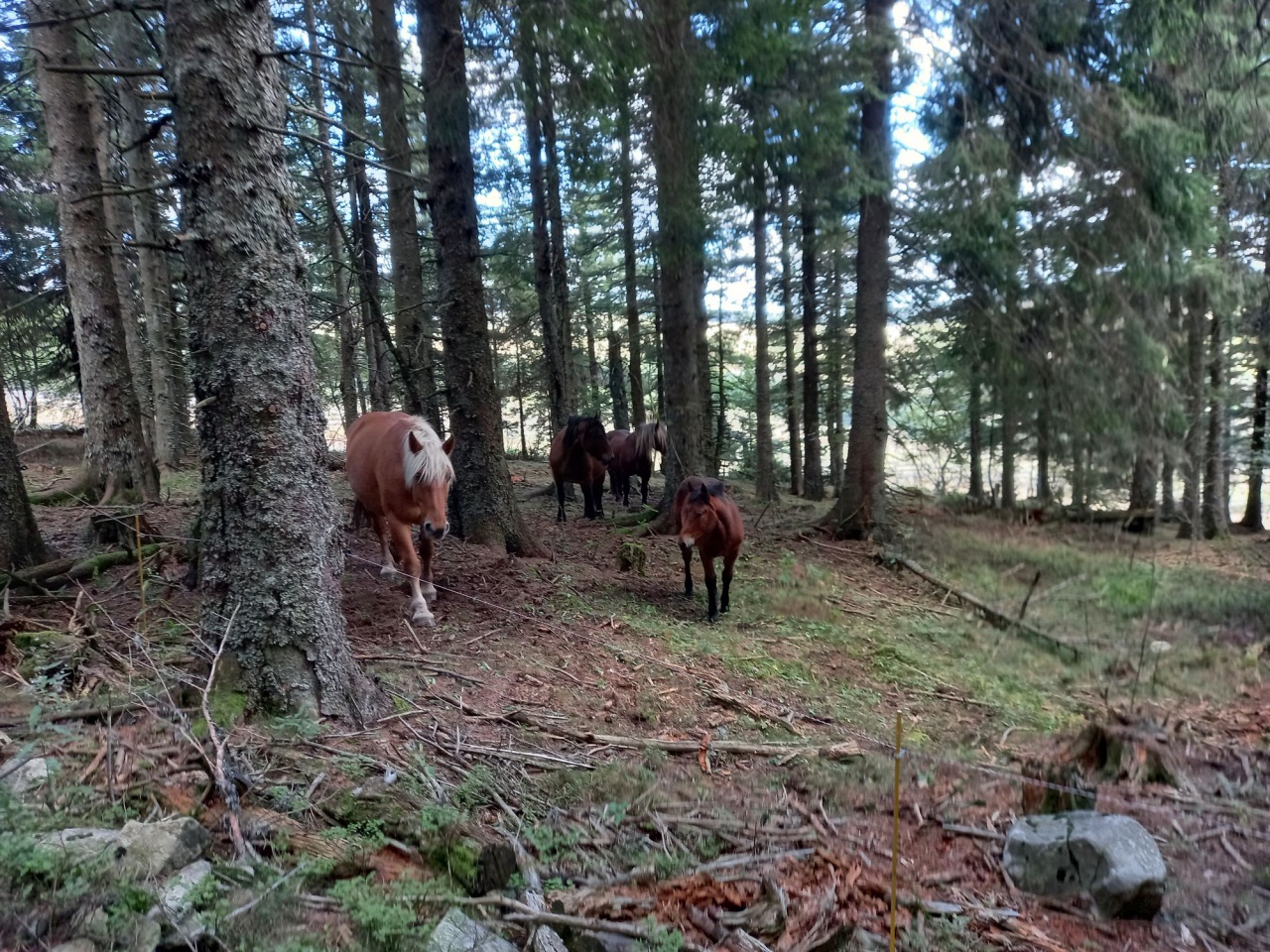 resized_20230929_151035 resized_20230929_151035