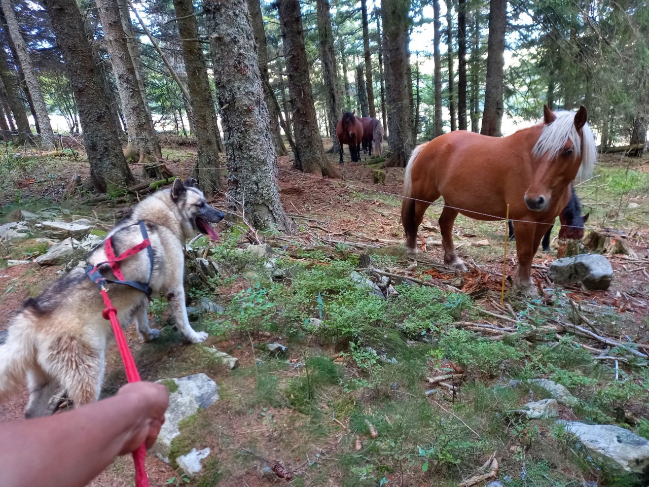 resized_20230929_151045 resized_20230929_151045