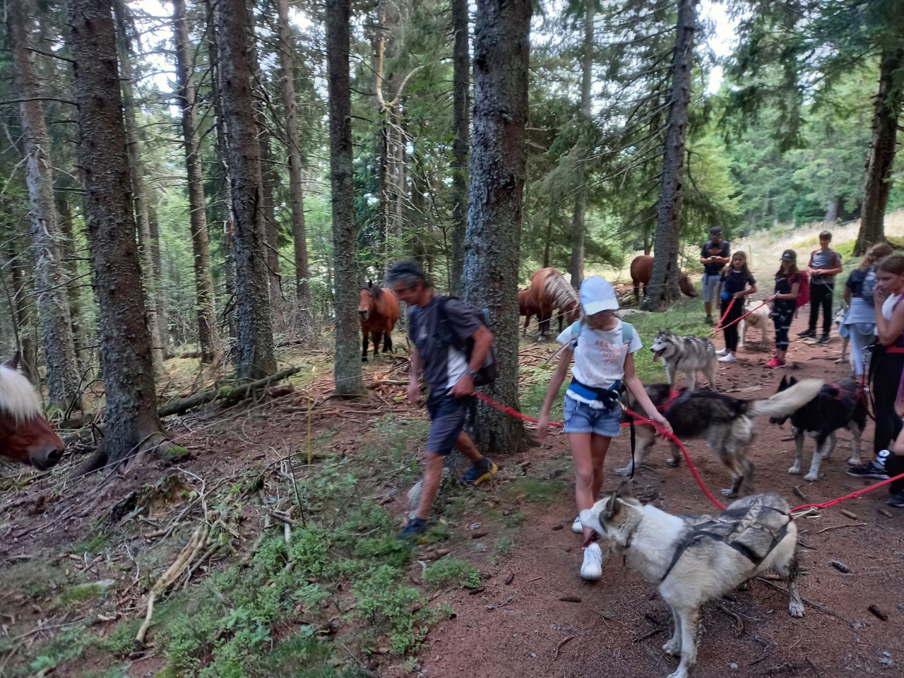 resized_20230929_151055 resized_20230929_151055