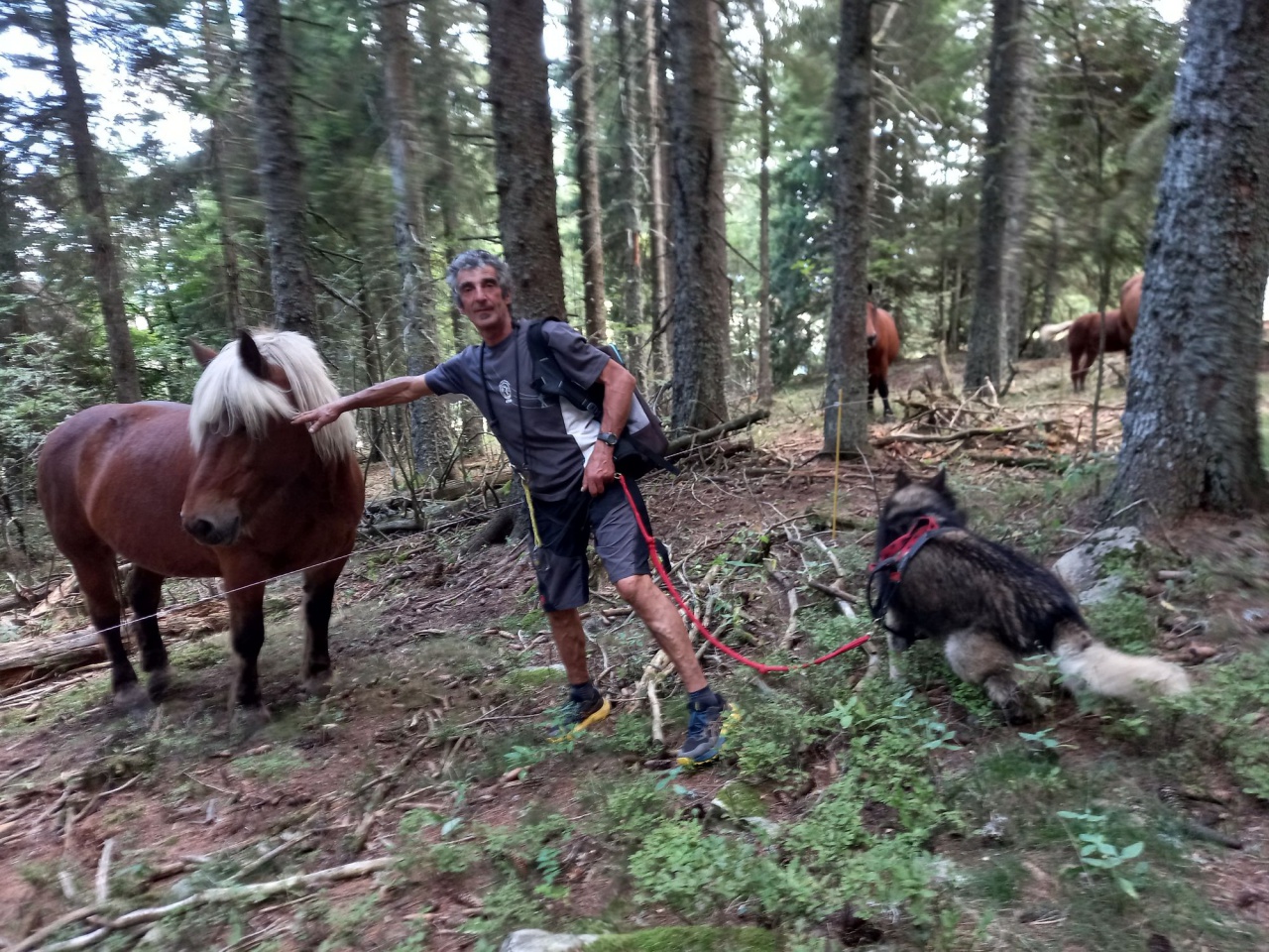 resized_20230929_151101 resized_20230929_151101