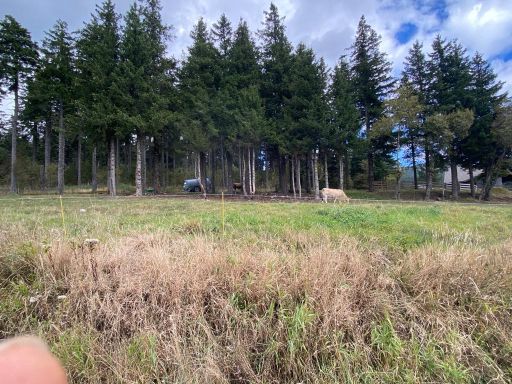 resized_IMG-20230929-WA0004 resized_IMG-20230929-WA0004