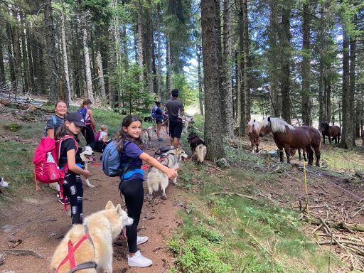 resized_IMG-20230929-WA0007 resized_IMG-20230929-WA0007