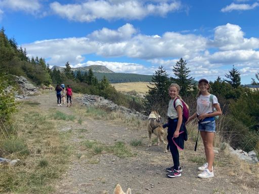 resized_IMG-20230929-WA0009 resized_IMG-20230929-WA0009