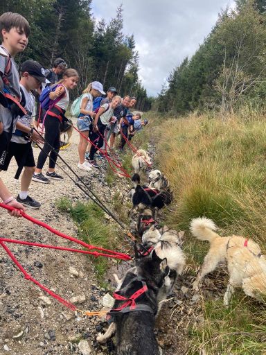 resized_IMG-20230929-WA0010 resized_IMG-20230929-WA0010