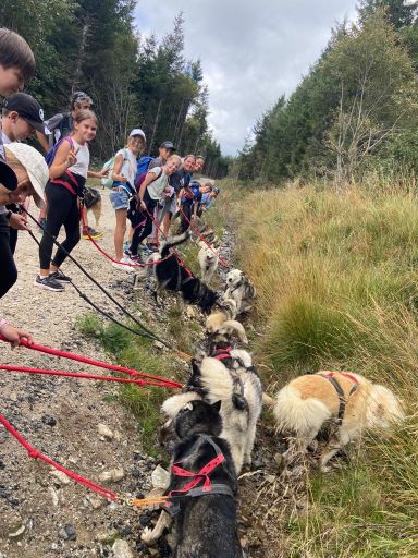 resized_IMG-20230929-WA0011 resized_IMG-20230929-WA0011