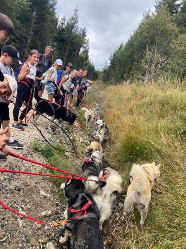 resized_IMG-20230929-WA0012 resized_IMG-20230929-WA0012