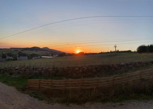 resized_IMG-20230929-WA0019 resized_IMG-20230929-WA0019