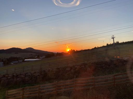 resized_IMG-20230929-WA0021 resized_IMG-20230929-WA0021