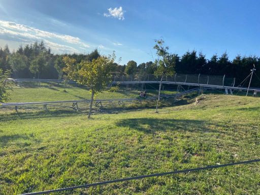 resized_IMG-20230929-WA0023 resized_IMG-20230929-WA0023