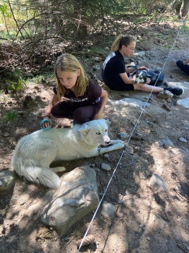 resized_IMG-20230929-WA0034 resized_IMG-20230929-WA0034