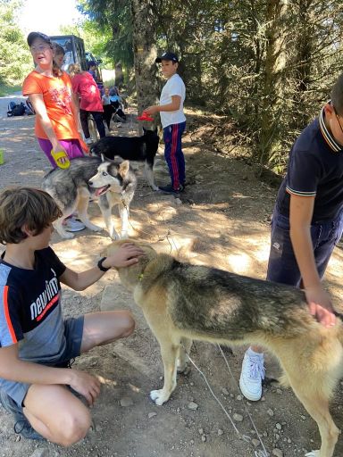 resized_IMG-20230929-WA0035 resized_IMG-20230929-WA0035