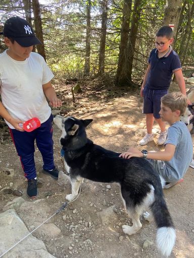 resized_IMG-20230929-WA0036 resized_IMG-20230929-WA0036