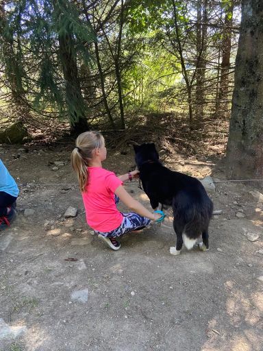 resized_IMG-20230929-WA0040 resized_IMG-20230929-WA0040