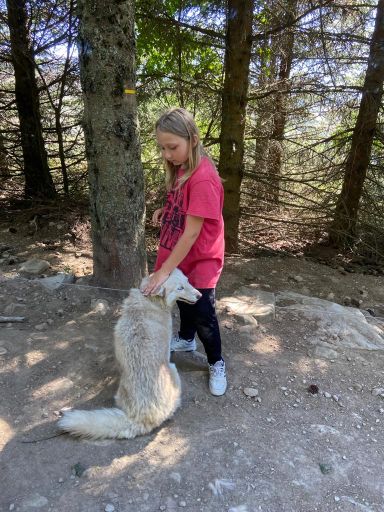 resized_IMG-20230929-WA0041 resized_IMG-20230929-WA0041