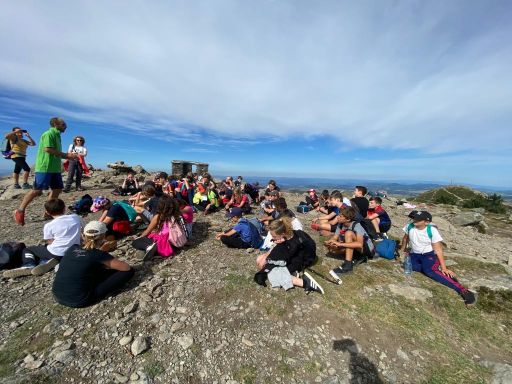 resized_IMG-20230929-WA0044 resized_IMG-20230929-WA0044